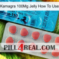 Kamagra 100Mg Jelly How To Use new14